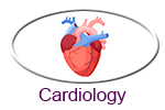 Cardiology Services